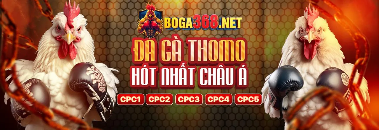 Hình ảnh đá gà trực tuyến 79kin với các chú gà chiến đấu trong đấu trường sôi động, thể hiện sự kịch tính và hấp dẫn của trò chơi.