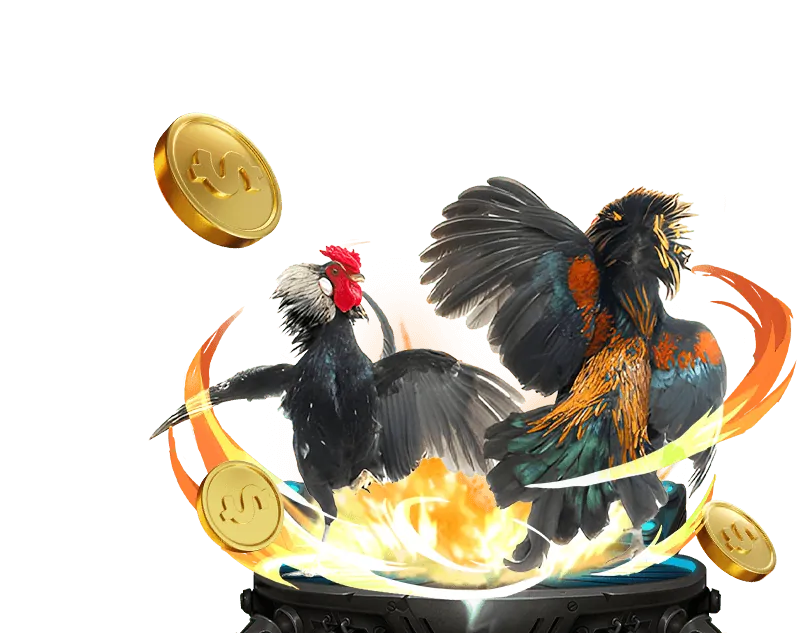 Cá cược bóng đá và thể thao 188BET